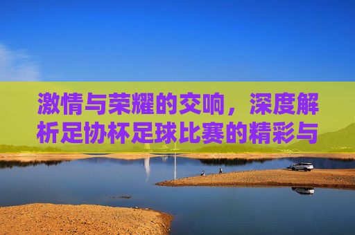 激情与荣耀的交响，深度解析足协杯足球比赛的精彩与内涵