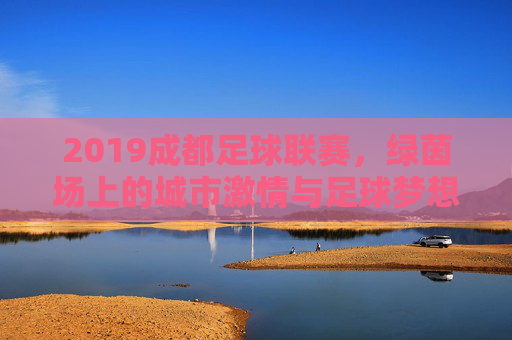 2019成都足球联赛，绿茵场上的城市激情与足球梦想，2019成都足球联赛，绿茵场上的城市激情与足球梦想