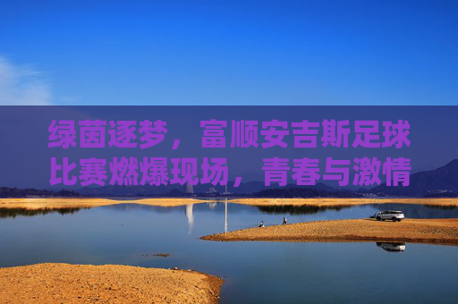 绿茵逐梦，富顺安吉斯足球比赛燃爆现场，青春与激情的碰撞，绿茵逐梦，富顺安吉斯足球比赛燃爆现场，青春与激情的碰撞