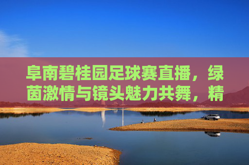 阜南碧桂园足球赛直播,绿茵激情与镜头魅力共舞,精彩瞬间实时呈现,阜南碧桂园足球赛直播,绿茵激情与镜头魅力共舞,精彩瞬间实时呈现