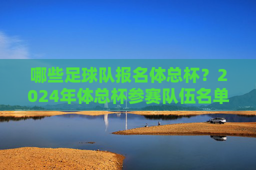 哪些足球队报名体总杯?2024年体总杯参赛队伍名单及赛事亮点解析,2024年体总杯参赛队伍名单及赛事亮点解析,哪些足球队报名体总杯?