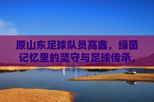 原山东足球队员高鑫，绿茵记忆里的坚守与足球传承，原山东足球队员高鑫，绿茵记忆里的坚守与足球传承