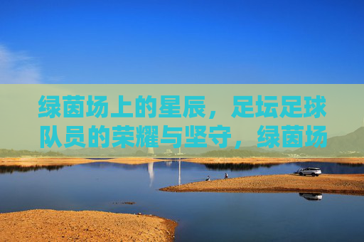 绿茵场上的星辰,足坛足球队员的荣耀与坚守,绿茵场上的星辰,足坛足球队员的荣耀与坚守
