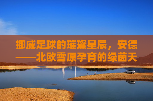 挪威足球的璀璨星辰,安德——北欧雪原孕育的绿茵天才,挪威足球的璀璨星辰,安德,北欧雪原孕育的绿茵天才