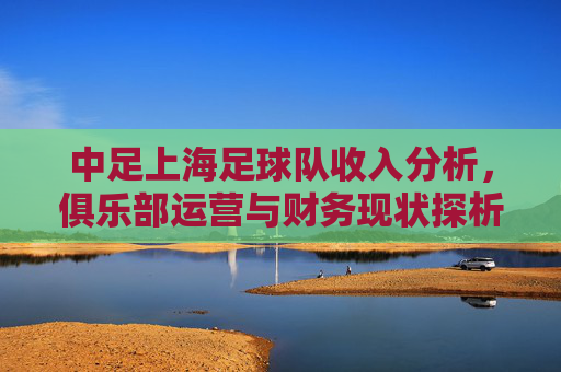 中足上海足球队收入分析,俱乐部运营与财务现状探析