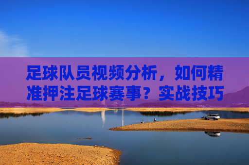 足球队员视频分析,如何精准押注足球赛事?实战技巧与策略解析,足球队员视频分析,精准押注足球赛事的实战技巧与策略解析