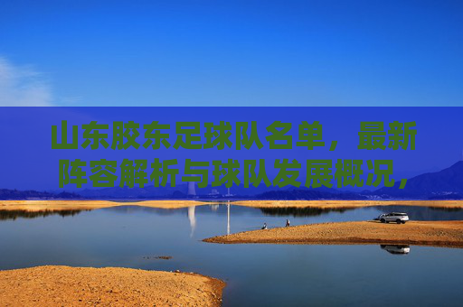 山东胶东足球队名单，最新阵容解析与球队发展概况，山东胶东足球队最新名单，阵容解析与球队发展概况