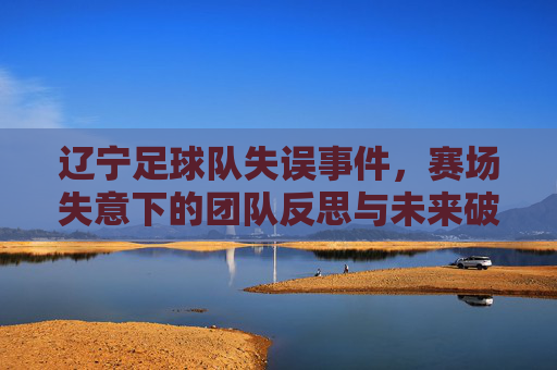 辽宁足球队失误事件,赛场失意下的团队反思与未来破局之路,辽宁足球队失误事件,赛场失意下的团队反思与未来破局之路