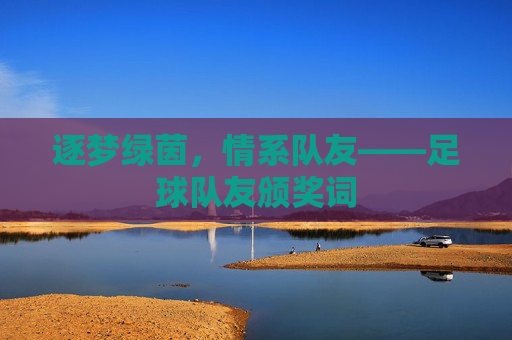 逐梦绿茵,情系队友——足球队友颁奖词