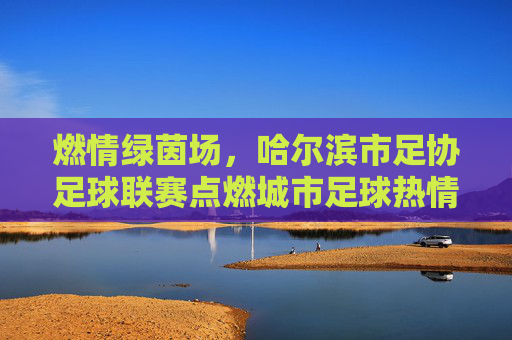 燃情绿茵场,哈尔滨市足协足球联赛点燃城市足球热情,燃情绿茵场,哈尔滨市足协足球联赛点燃城市足球热情