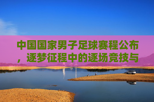 中国国家男子足球赛程公布，逐梦征程中的逐场竞技与期待