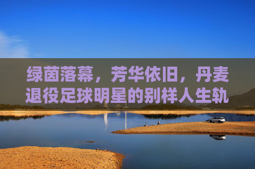 绿茵落幕,芳华依旧,丹麦退役足球明星的别样人生轨迹——记丹麦女足传奇的退役后故事