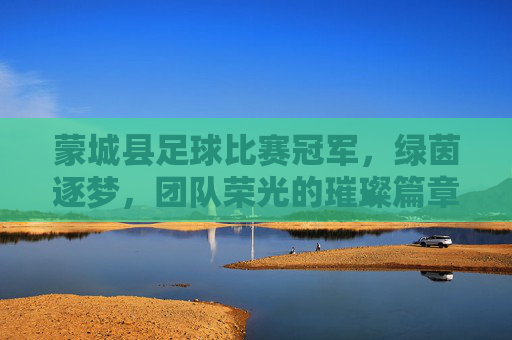 蒙城县足球比赛冠军,绿茵逐梦,团队荣光的璀璨篇章