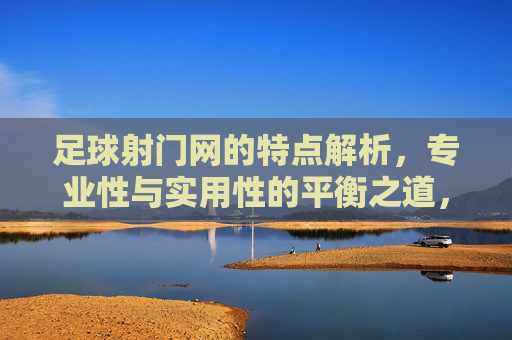 足球射门网的特点解析,专业性与实用性的平衡之道,足球射门网的特点解析,专业性与实用性的平衡之道