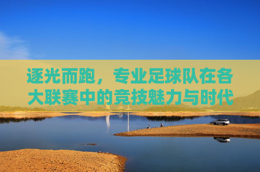 逐光而跑,专业足球队在各大联赛中的竞技魅力与时代价值