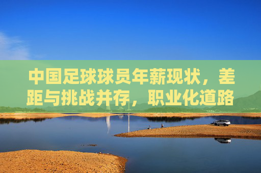 中国足球球员年薪现状，差距与挑战并存，职业化道路的阵痛与希望，中国足球球员年薪现状，差距与挑战并存，职业化道路的阵痛与希望