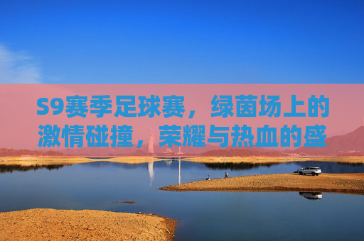 S9赛季足球赛，绿茵场上的激情碰撞，荣耀与热血的盛宴