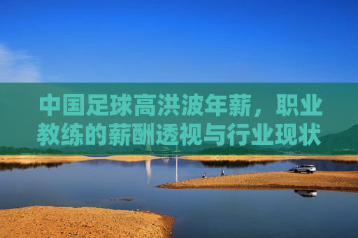 中国足球高洪波年薪,职业教练的薪酬透视与行业现状反思