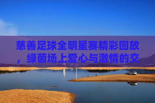 慈善足球全明星赛精彩回放，绿茵场上爱心与激情的交响曲，慈善足球全明星赛精彩回放，绿茵场上爱心与激情的交响曲