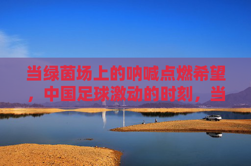 当绿茵场上的呐喊点燃希望,中国足球激动的时刻,当绿茵场上的呐喊点燃希望,中国足球激动的时刻