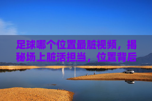 足球哪个位置最脏视频,揭秘场上脏活担当,位置背后的生存法则
