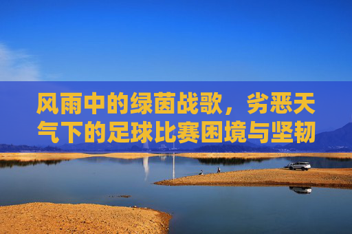 风雨中的绿茵战歌,劣恶天气下的足球比赛困境与坚韧,风雨中的绿茵战歌,劣恶天气下的足球比赛困境与坚韧