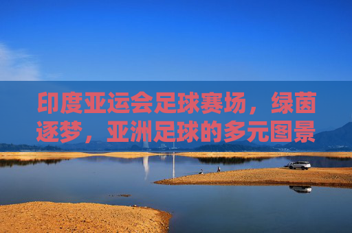 印度亚运会足球赛场，绿茵逐梦，亚洲足球的多元图景与竞技风采