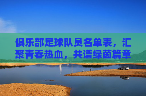 俱乐部足球队员名单表，汇聚青春热血，共谱绿茵篇章