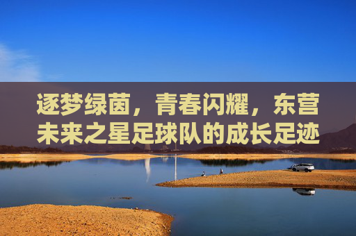逐梦绿茵，青春闪耀，东营未来之星足球队的成长足迹，逐梦绿茵，青春闪耀，东营未来之星足球队的成长足迹