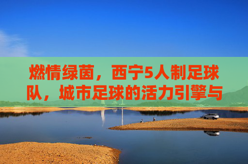 燃情绿茵，西宁5人制足球队，城市足球的活力引擎与青春绽放