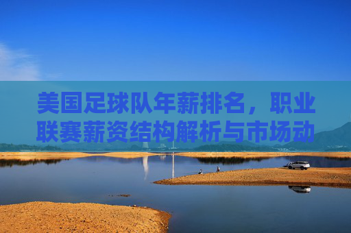 美国足球队年薪排名,职业联赛薪资结构解析与市场动态,美国职业足球队年薪排名,职业联赛薪资结构解析与市场动态