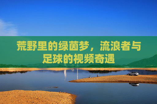 荒野里的绿茵梦,流浪者与足球的视频奇遇