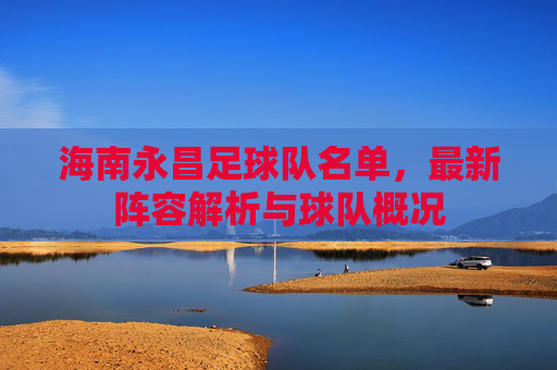 海南永昌足球队名单，最新阵容解析与球队概况