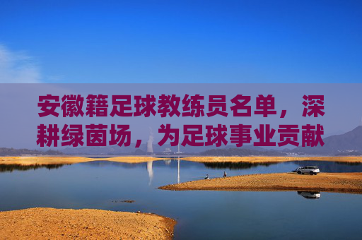 安徽籍足球教练员名单,深耕绿茵场,为足球事业贡献力量