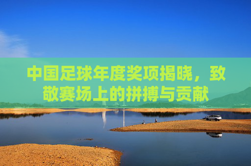 中国足球年度奖项揭晓,致敬赛场上的拼搏与贡献