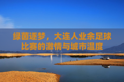 绿茵逐梦,大连人业余足球比赛的激情与城市温度