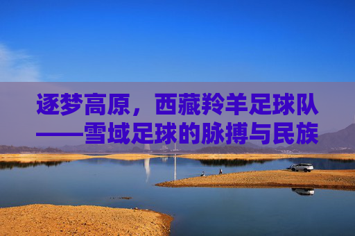 逐梦高原,西藏羚羊足球队——雪域足球的脉搏与民族情怀