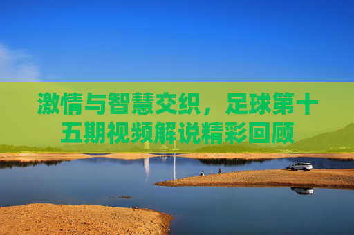 激情与智慧交织，足球第十五期视频解说精彩回顾