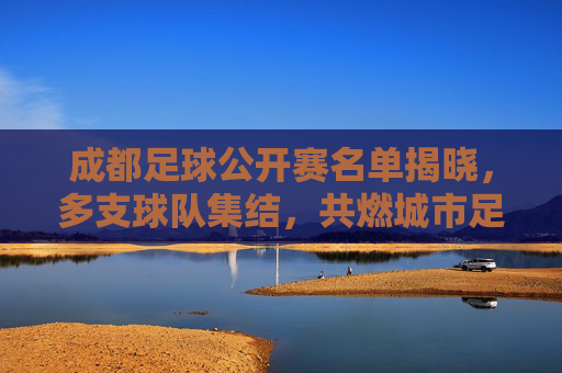 成都足球公开赛名单揭晓,多支球队集结,共燃城市足球激情