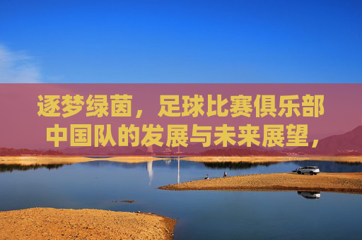 逐梦绿茵，足球比赛俱乐部中国队的发展与未来展望，逐梦绿茵，中国足球比赛俱乐部的发展与未来展望