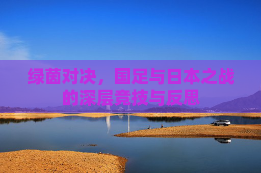 绿茵对决，国足与日本之战的深层竞技与反思