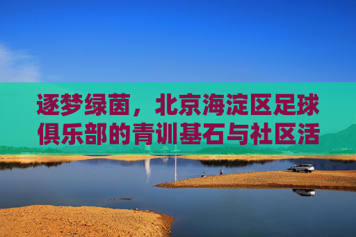 逐梦绿茵，北京海淀区足球俱乐部的青训基石与社区活力