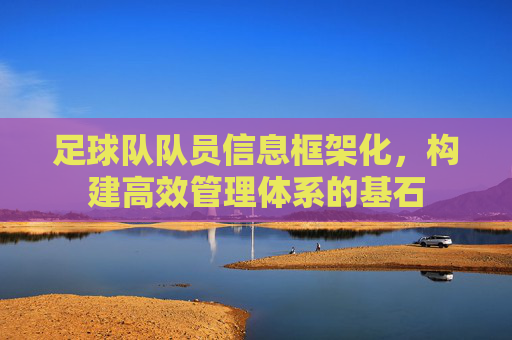 足球队队员信息框架化，构建高效管理体系的基石