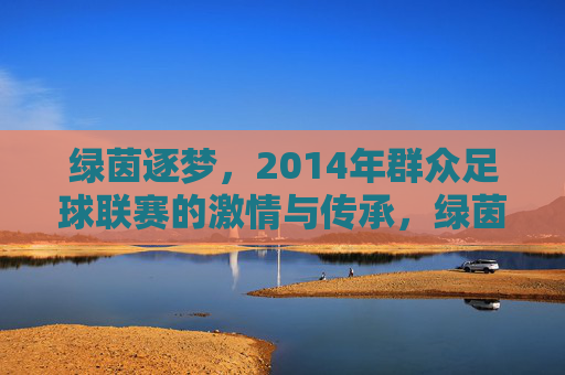 绿茵逐梦，2014年群众足球联赛的激情与传承，绿茵逐梦，2014年群众足球联赛的激情与传承
