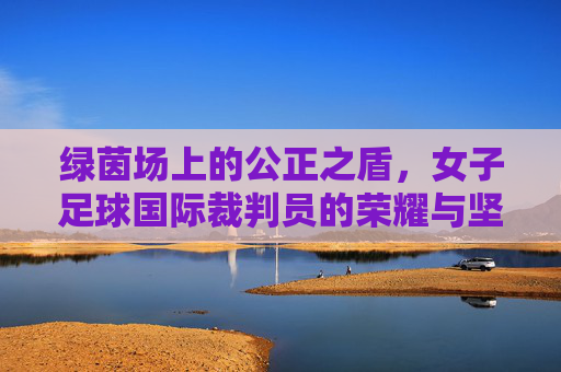 绿茵场上的公正之盾,女子足球国际裁判员的荣耀与坚守