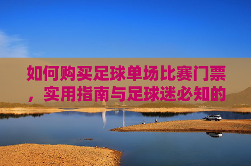如何购买足球单场比赛门票,实用指南与足球迷必知的购票技巧