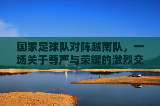 国家足球队对阵越南队,一场关于尊严与荣耀的激烈交锋,热血青春燃动赛场