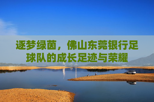 逐梦绿茵，佛山东莞银行足球队的成长足迹与荣耀