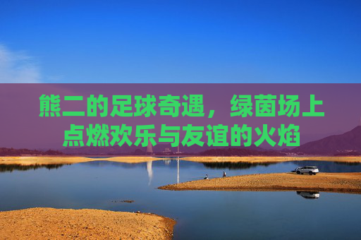 熊二的足球奇遇,绿茵场上点燃欢乐与友谊的火焰