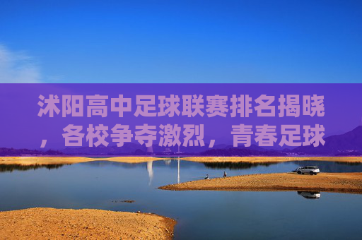 沭阳高中足球联赛排名揭晓,各校争夺激烈,青春足球绽放活力与拼搏精神